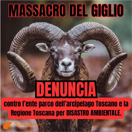 Denuncia per il massacro