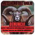 Denuncia per il Massacro al Giglio