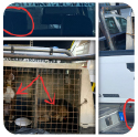 Polizia Provinciale, sangue, cani da caccia