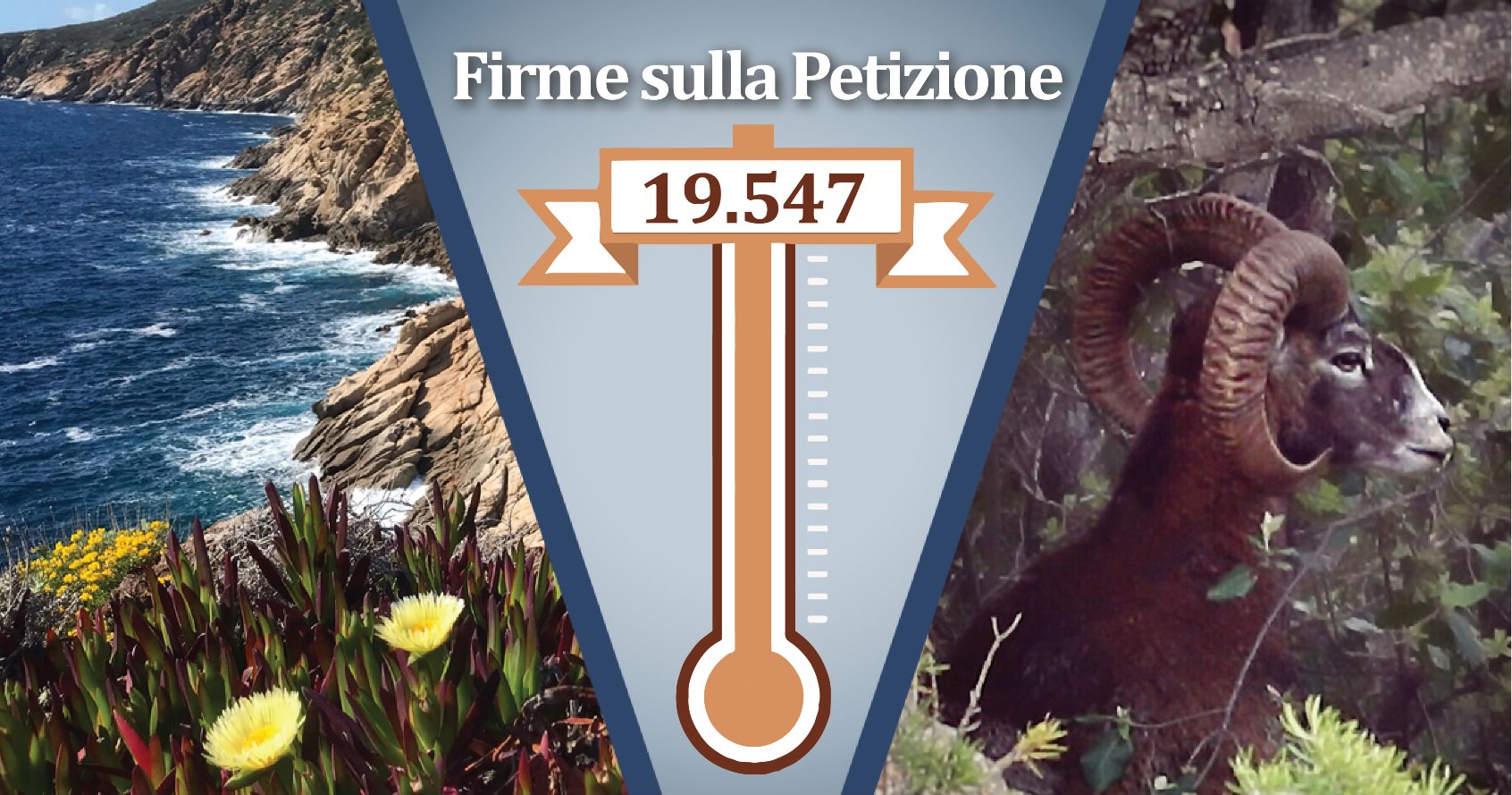 Tanta Opposizione al Progetto LetsGo Giglio