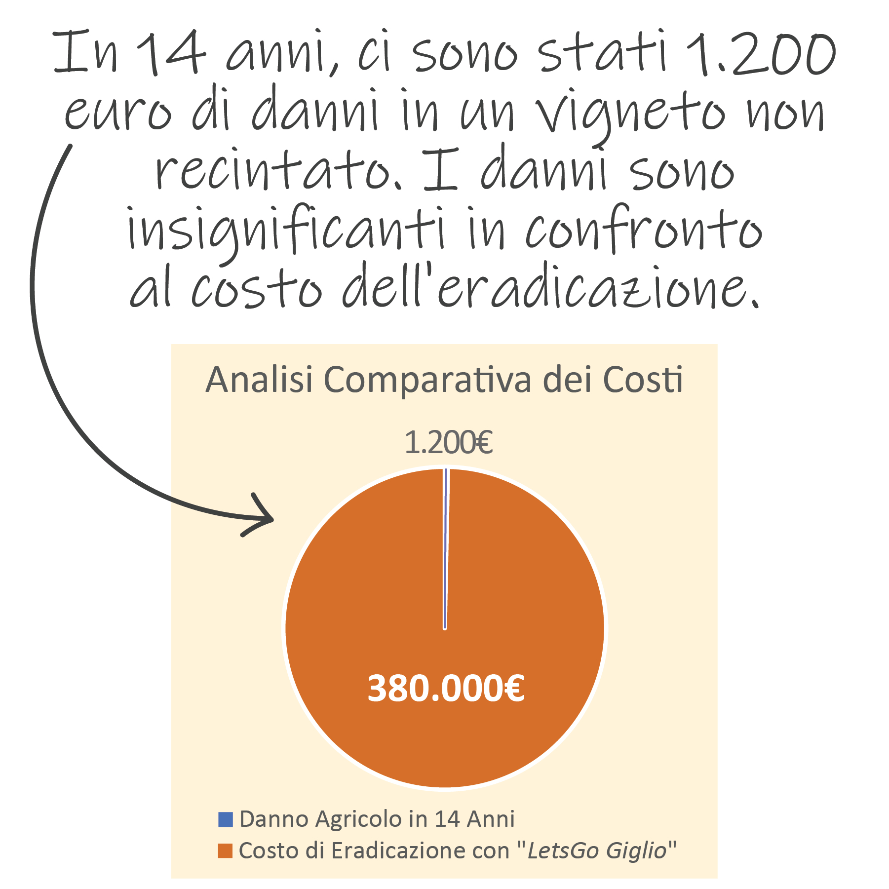 Spese Effettive