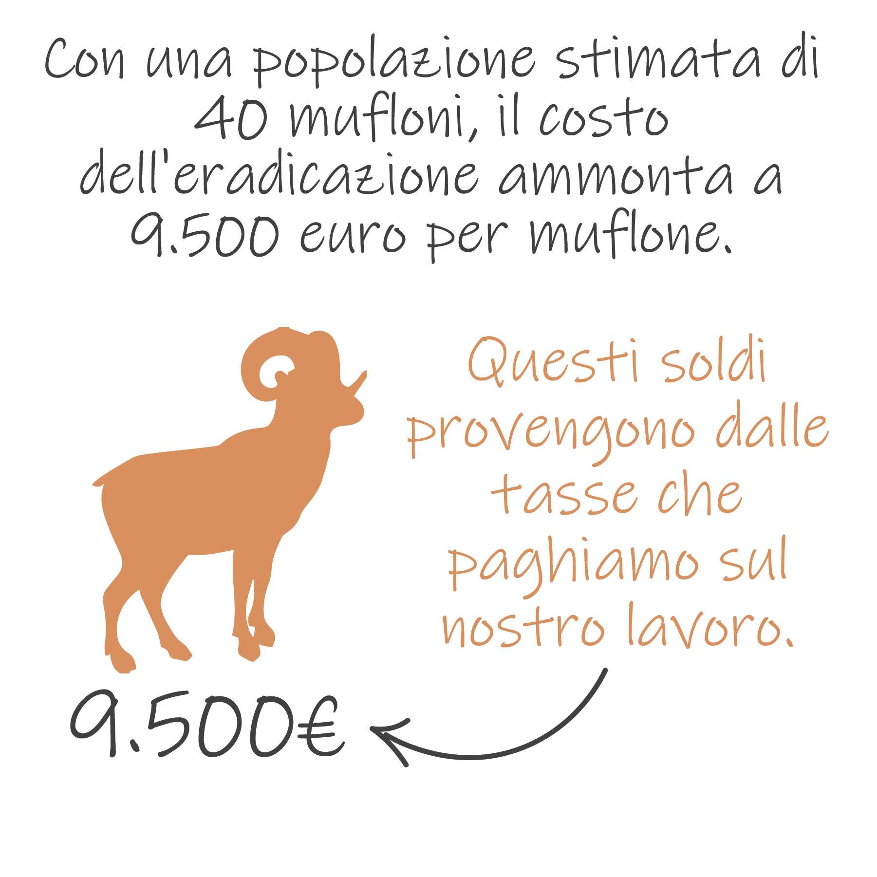 Spese per eradicare i mufloni