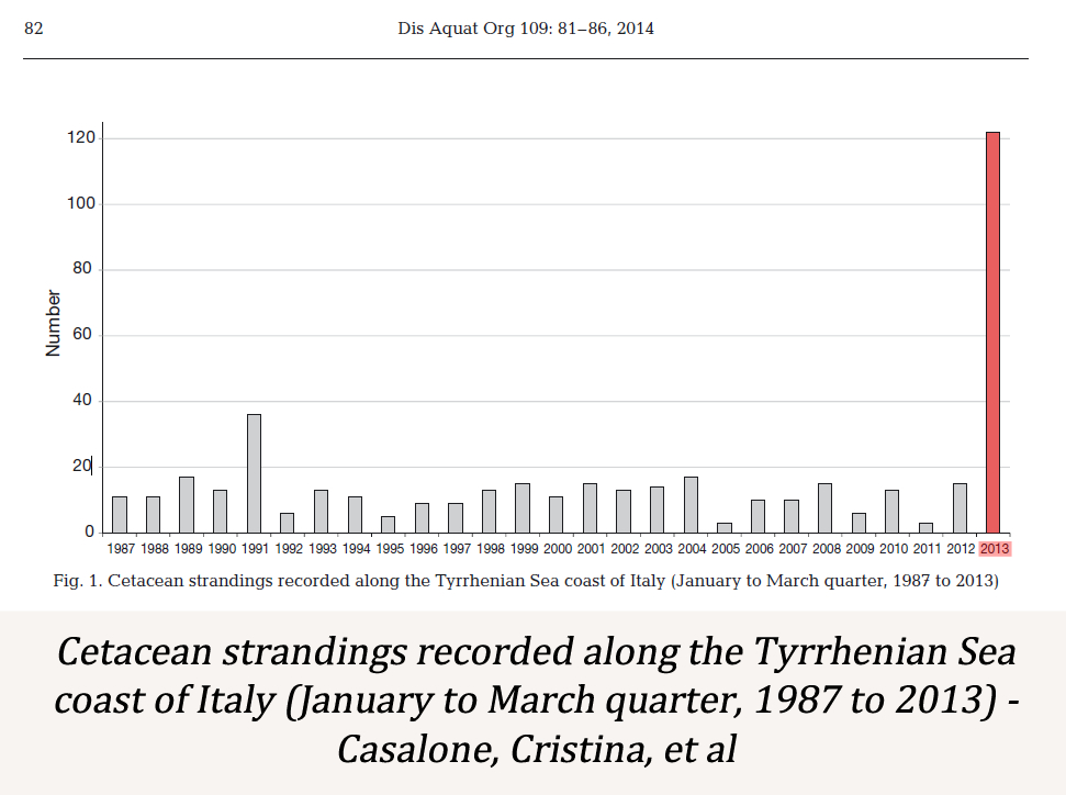 Cetacean beachings in Italy