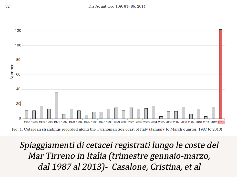 Figura di spiaggiamenti dei cetacei