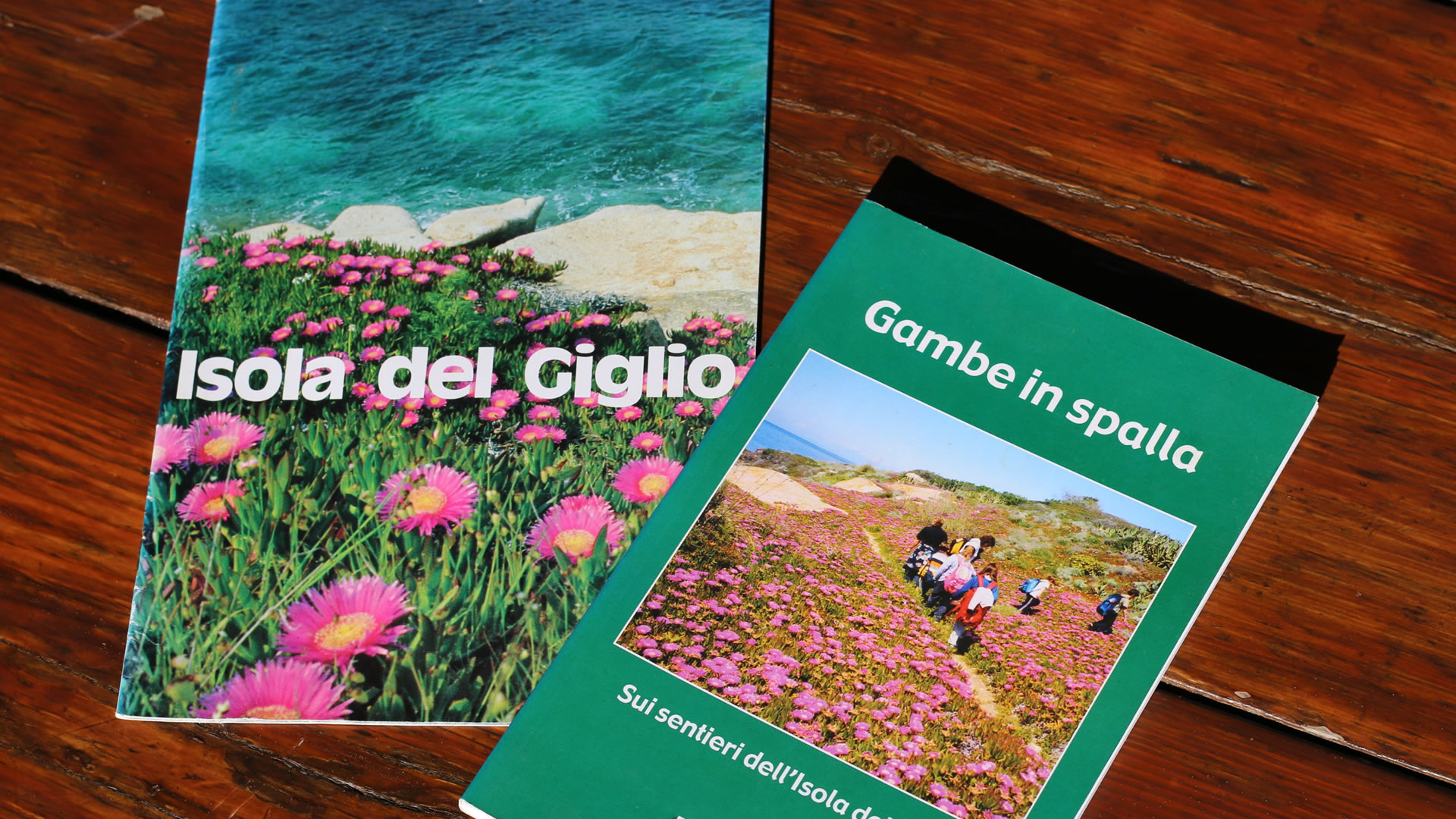 Librini con il Fico degli Ottentotti sulla copertina