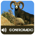 Controradio