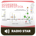 Radio Star