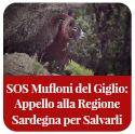 Appello Sardegna