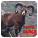 Ente Parco
