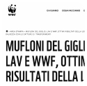 WWF