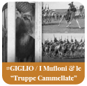 Muflone nella gabbia