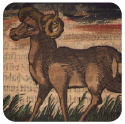 Illustrazione di Sigismondo Arquer, anno 1550