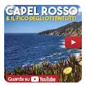 Fico Degli Ottentotti Giglio