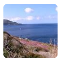 Isola del Giglio