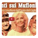 Folklore dei Mufloni al Giglio - Episodio 4