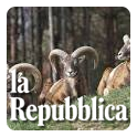 La Repubblica - Mufloni